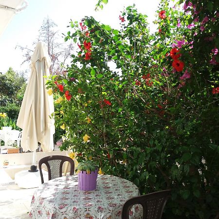 Cizmeci Apart HotelÇeşme エクステリア 写真